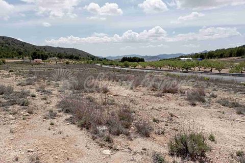 Helårsgrund i Yecla, Murcia, Yecla - € 25.000 | Ref: SF0457 - foto 14